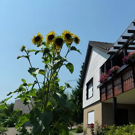 Blumenwiese 公寓