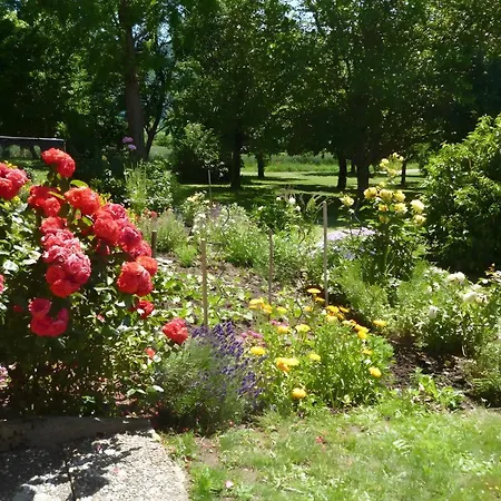公寓 Blumenwiese Weilheim