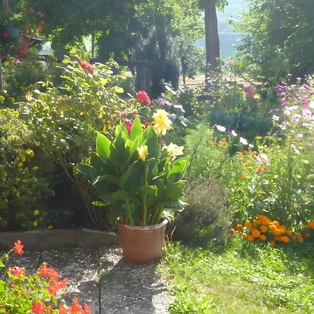 Blumenwiese 公寓
