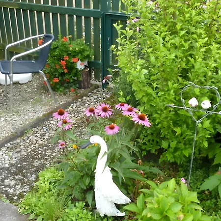 Blumenwiese Weilheim