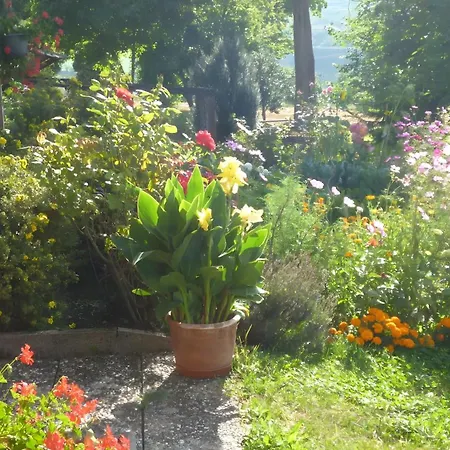 Blumenwiese